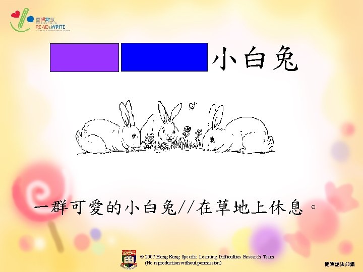 一群可愛的小白兔//在草地上休息。 © 2007 Hong Kong Specific Learning Difficulties Research Team (No reproduction without permission)