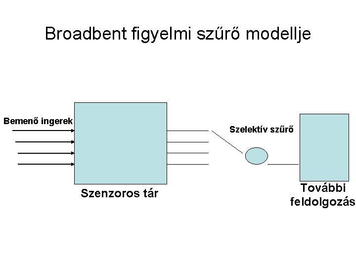 Broadbent figyelmi szűrő modellje Bemenő ingerek Szelektív szűrő Szenzoros tár További feldolgozás 