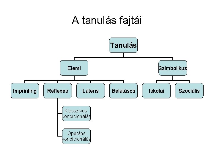 A tanulás fajtái Tanulás Elemi Imprinting Reflexes Szimbolikus Látens Klasszikus kondícionálás Operáns kondícionálás Belátásos