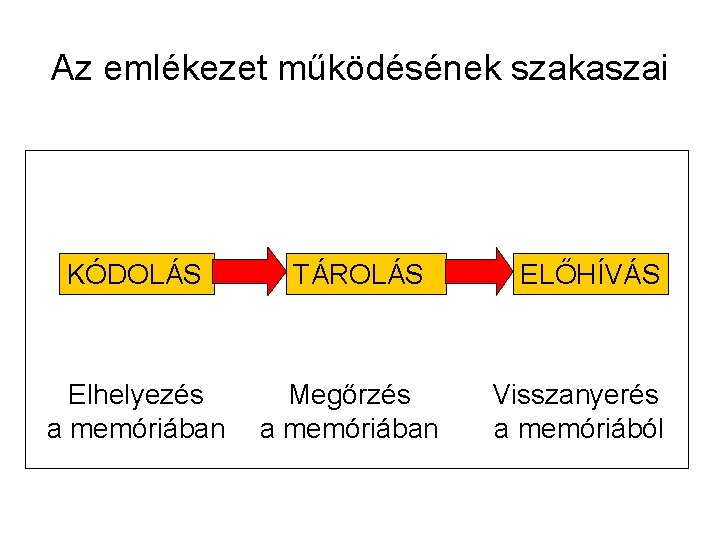 Az emlékezet működésének szakaszai KÓDOLÁS Elhelyezés a memóriában TÁROLÁS Megőrzés a memóriában ELŐHÍVÁS Visszanyerés