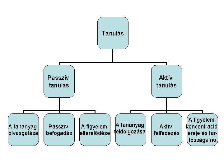 Tanulás Passzív tanulás A tananyag olvasgatása Passzív befogadás Aktív tanulás A tananyag A figyelem