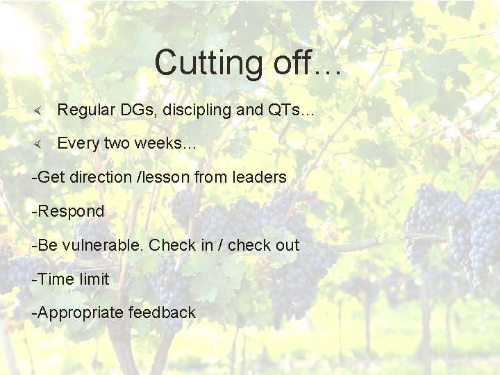 Cutting off… Regular DGs, discipling and QTs… Every two weeks… -Get direction /lesson from