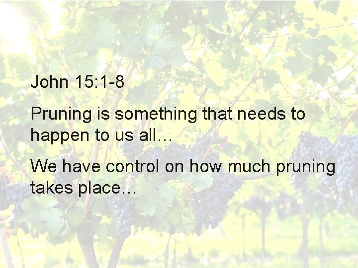John 15: 1 -8 Pruning is something that needs to happen to us all…