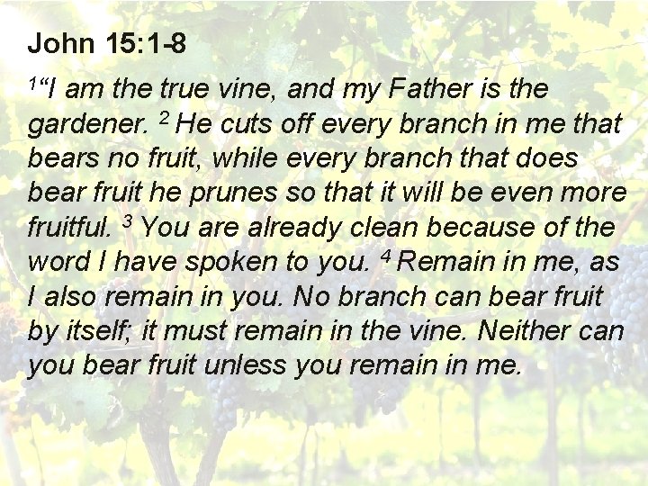 John 15: 1 -8 1“I am the true vine, and my Father is the
