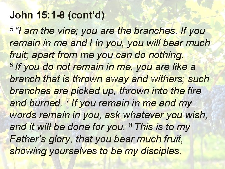 John 15: 1 -8 (cont’d) 5 “I am the vine; you are the branches.