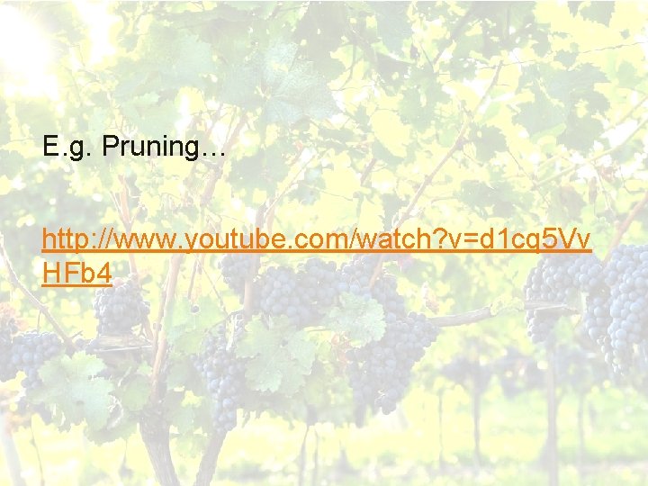 E. g. Pruning… http: //www. youtube. com/watch? v=d 1 cq 5 Vv HFb 4