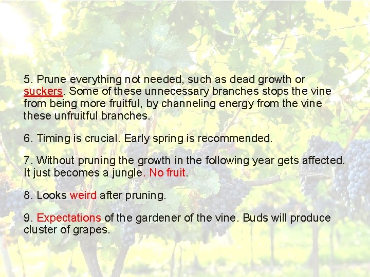 5. Prune everything not needed, such as dead growth or suckers. Some of these