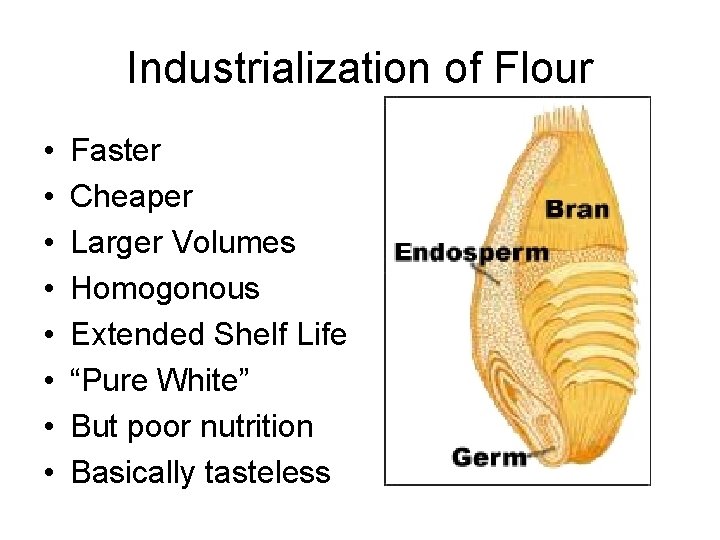 Industrialization of Flour • • Faster Cheaper Larger Volumes Homogonous Extended Shelf Life “Pure