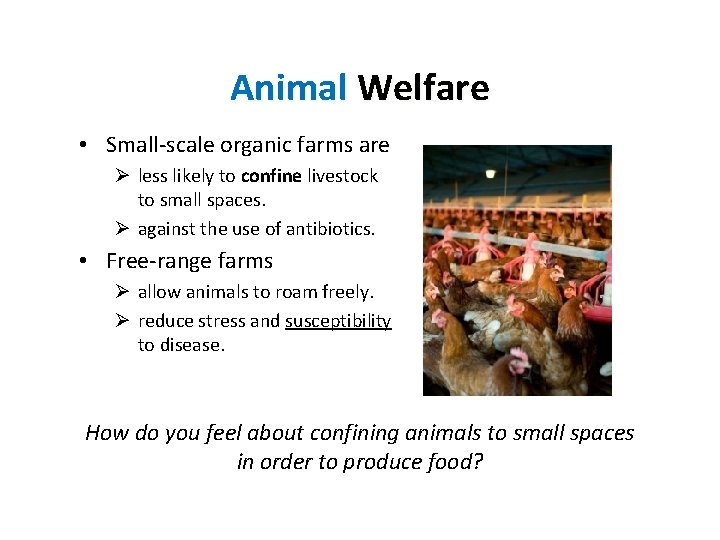 Animal Welfare • Small-scale organic farms are Ø less likely to confine livestock to