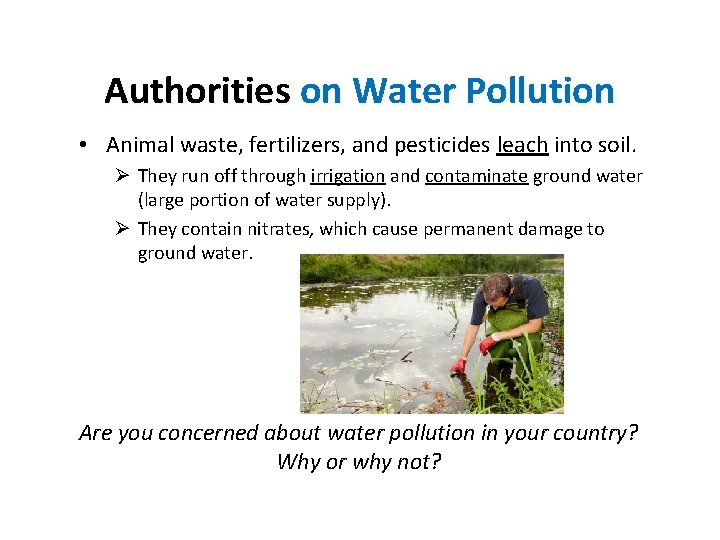 Authorities on Water Pollution • Animal waste, fertilizers, and pesticides leach into soil. Ø