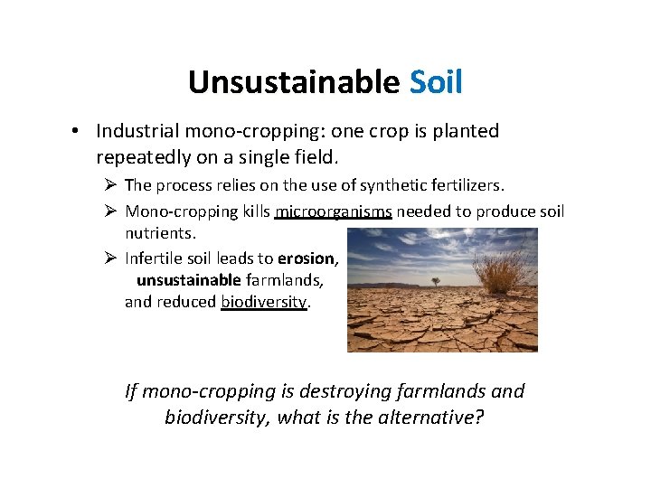 Unsustainable Soil • Industrial mono-cropping: one crop is planted repeatedly on a single field.