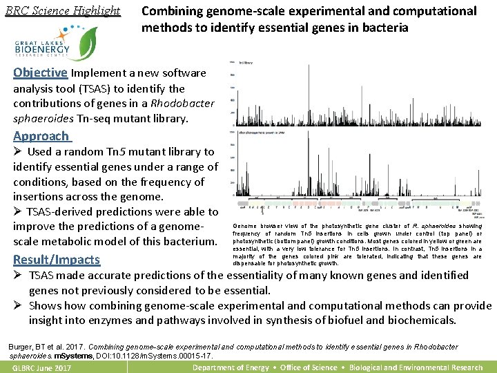 BRC Science Highlight Combining genome-scale experimental and computational methods to identify essential genes in