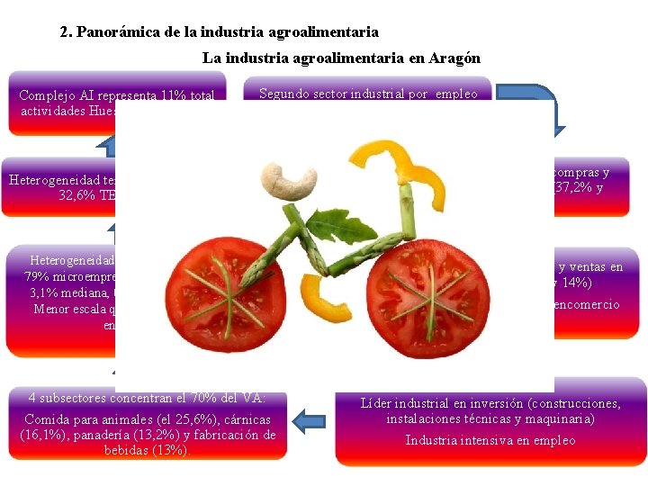 2. Panorámica de la industria agroalimentaria La industria agroalimentaria en Aragón Complejo AI representa