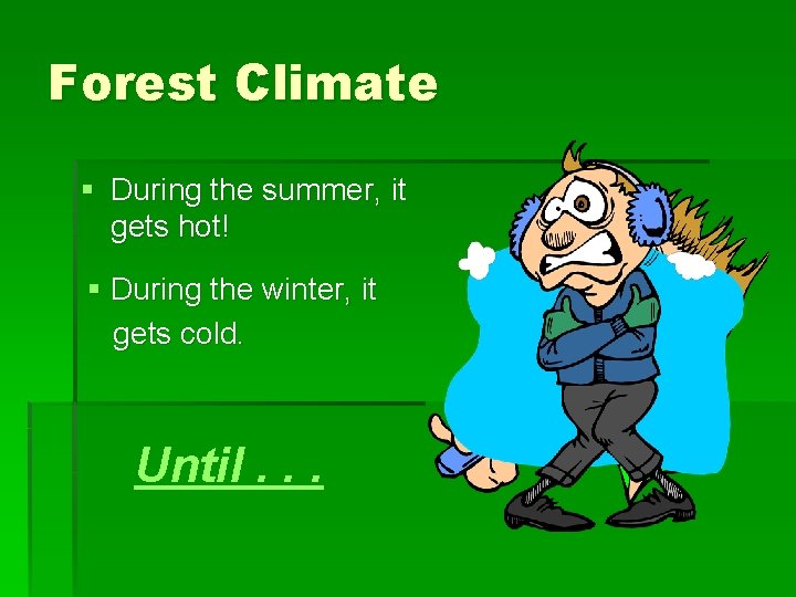 Forest Climate § During the summer, it gets hot! § During the winter, it