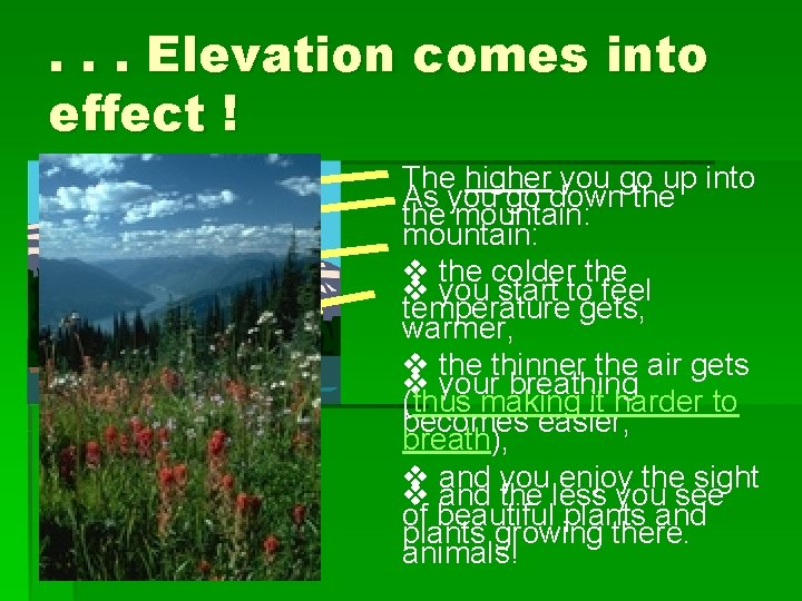 . . . Elevation comes into effect ! The higher you go up into