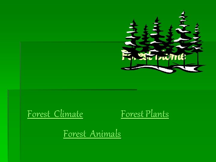 Forest Biome Forest Climate Forest Plants Forest Animals 