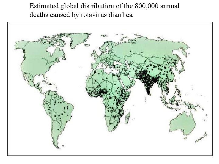 Estimated global distribution of the 800, 000 annual deaths caused by rotavirus diarrhea 