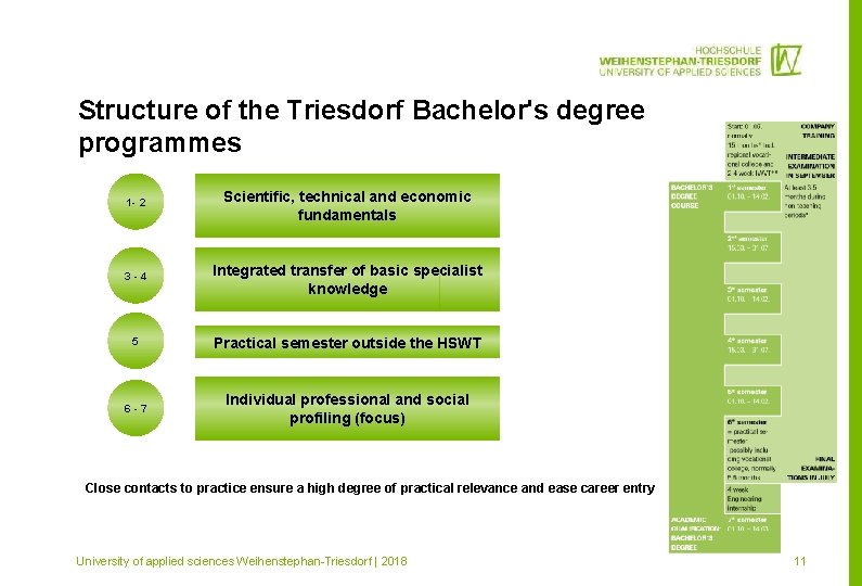 Structure of the Triesdorf Bachelor's degree programmes 1 - 2 Scientific, technical and economic