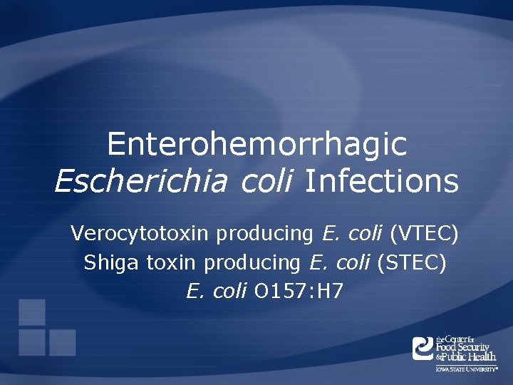 Enterohemorrhagic Escherichia coli Infections Verocytotoxin producing E. coli (VTEC) Shiga toxin producing E. coli