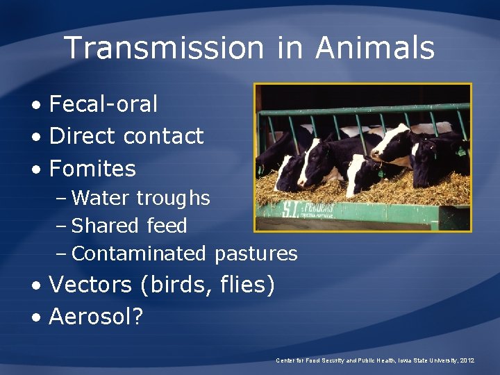 Transmission in Animals • Fecal-oral • Direct contact • Fomites – Water troughs –