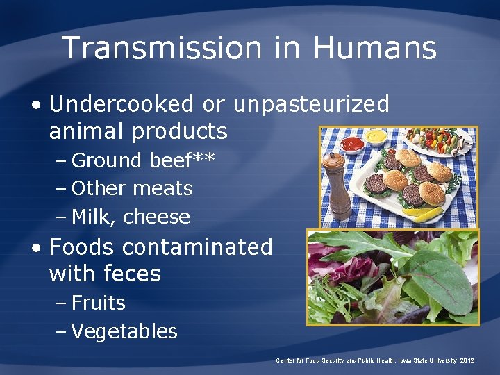 Transmission in Humans • Undercooked or unpasteurized animal products – Ground beef** – Other