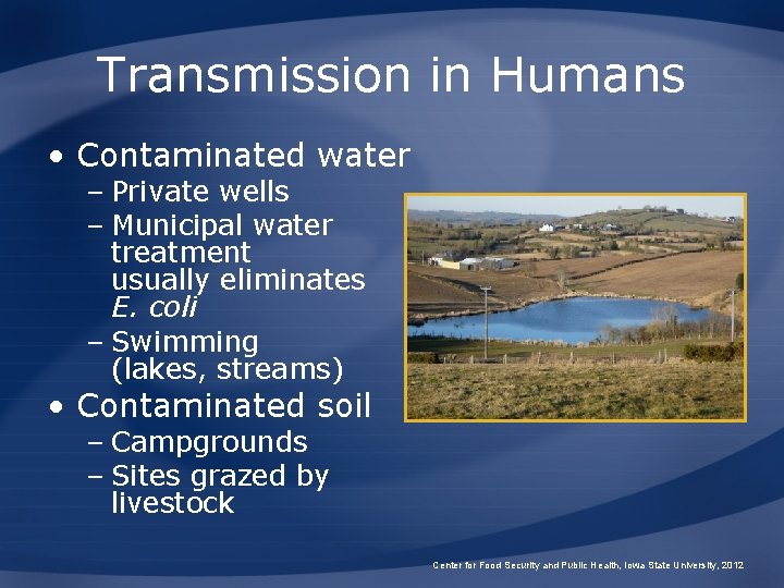 Transmission in Humans • Contaminated water – Private wells – Municipal water treatment usually