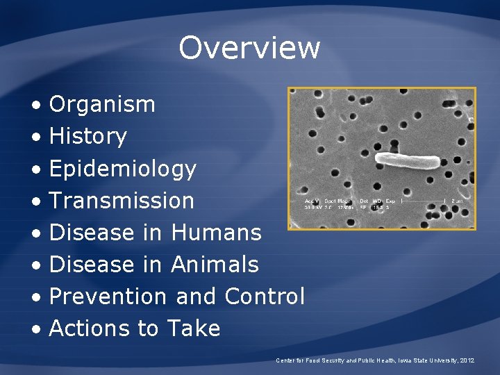 Overview • Organism • History • Epidemiology • Transmission • Disease in Humans •