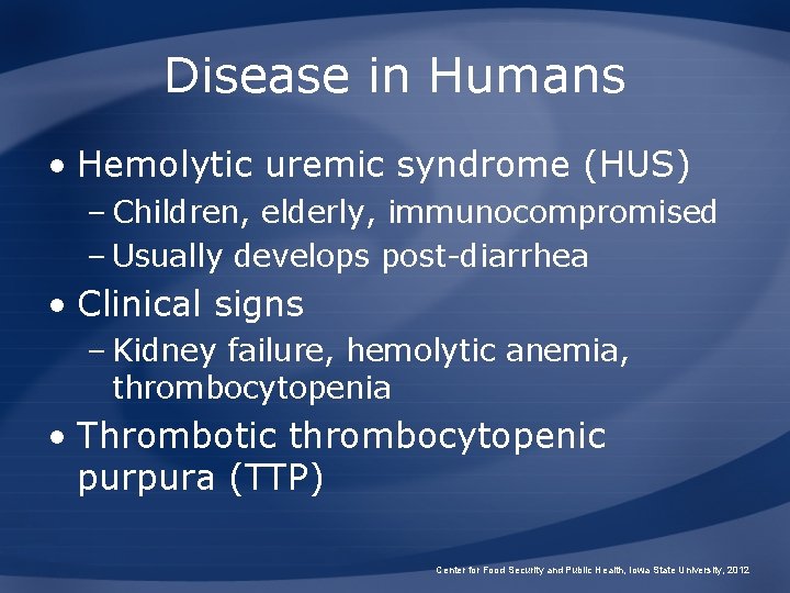 Disease in Humans • Hemolytic uremic syndrome (HUS) – Children, elderly, immunocompromised – Usually