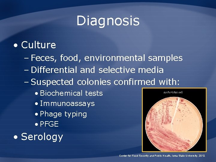 Diagnosis • Culture – Feces, food, environmental samples – Differential and selective media –