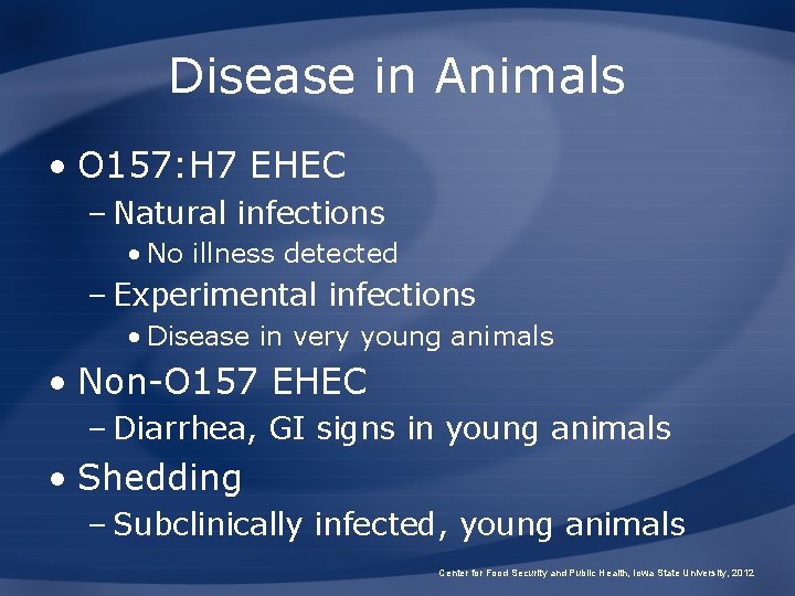 Disease in Animals • O 157: H 7 EHEC – Natural infections • No