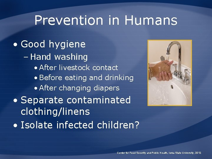 Prevention in Humans • Good hygiene – Hand washing • After livestock contact •