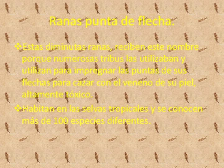 Ranas punta de flecha. v. Estas diminutas ranas, reciben este nombre porque numerosas tribus Ranas punta de flecha. v. Estas diminutas ranas, reciben este nombre porque numerosas tribus