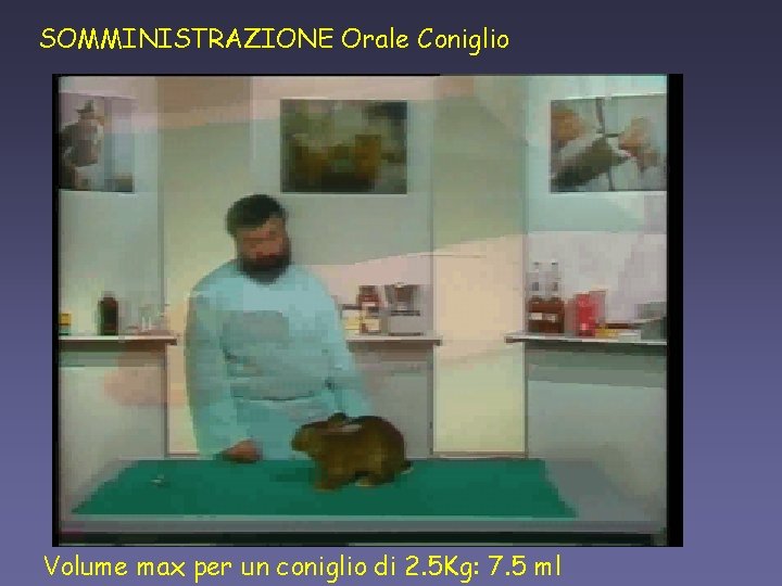 SOMMINISTRAZIONE Orale Coniglio Volume max per un coniglio di 2. 5 Kg: 7. 5