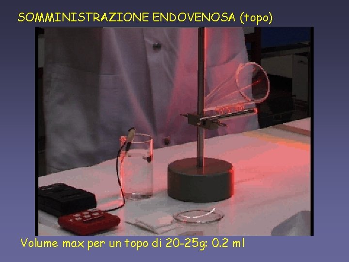 SOMMINISTRAZIONE ENDOVENOSA (topo) Volume max per un topo di 20 -25 g: 0. 2