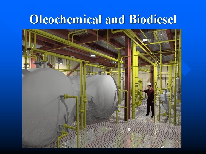 Oleochemical and Biodiesel 