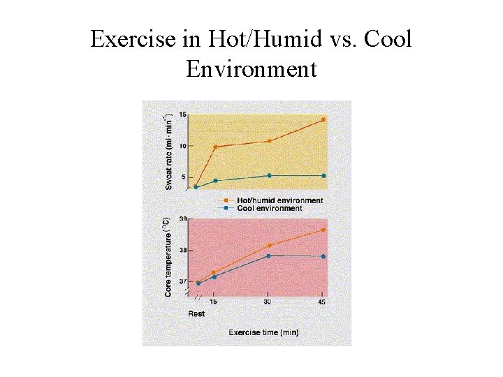 Exercise in Hot/Humid vs. Cool Environment 