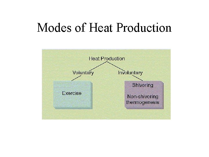 Modes of Heat Production 