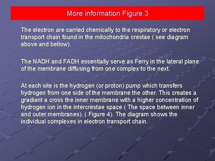 More information Figure 3 The electron are carried chemically to the respiratory or electron