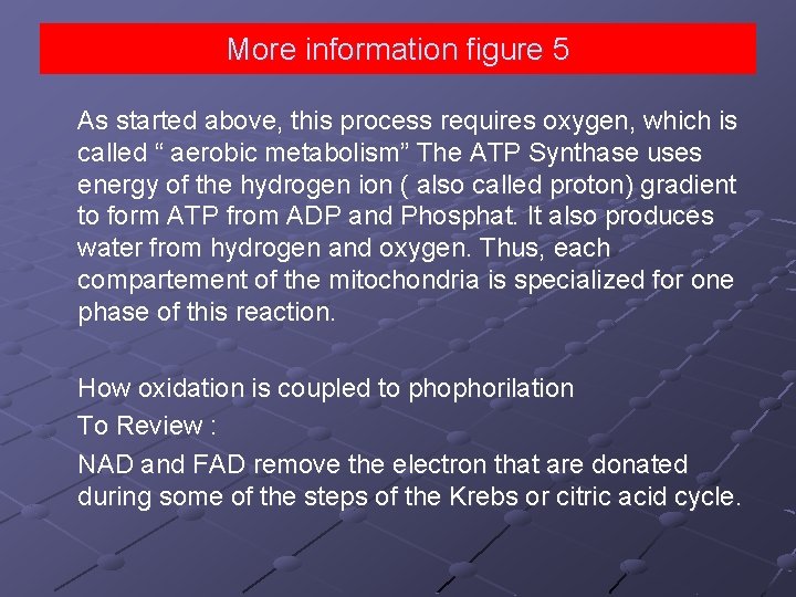 More information figure 5 As started above, this process requires oxygen, which is called