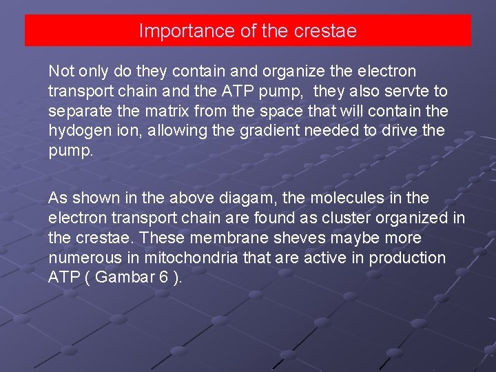 Importance of the crestae Not only do they contain and organize the electron transport