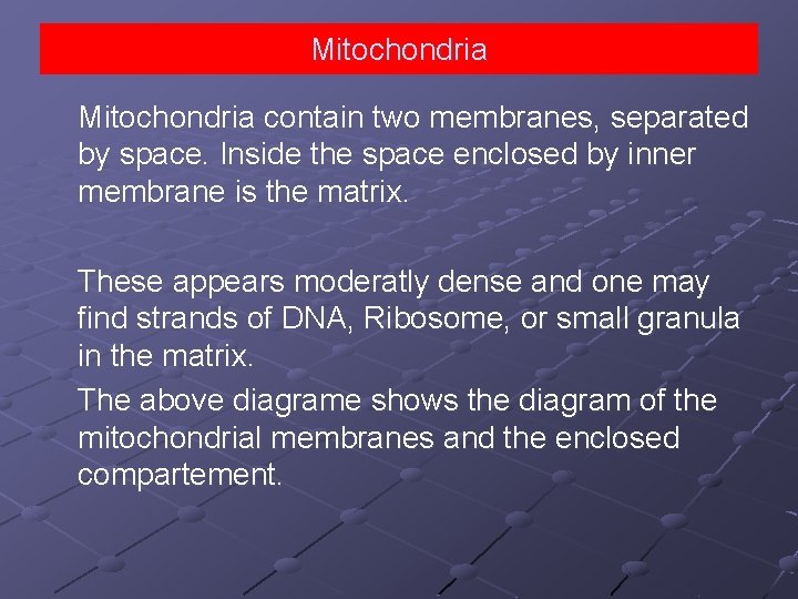 Mitochondria contain two membranes, separated by space. Inside the space enclosed by inner membrane