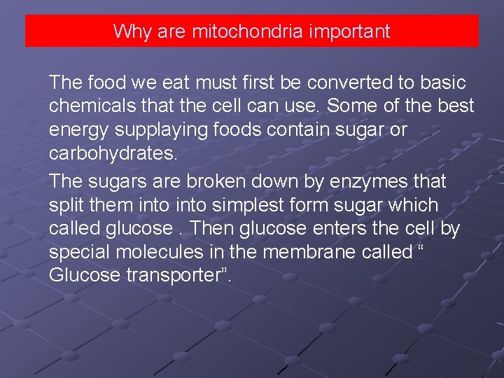 Why are mitochondria important The food we eat must first be converted to basic
