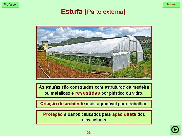 Estufa (Parte externa) As estufas são construídas com estruturas de madeira ou metálicas e