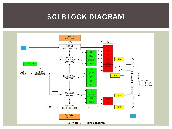 SCI BLOCK DIAGRAM 