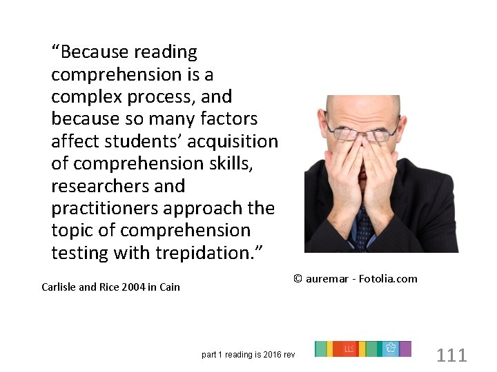 “Because reading comprehension is a complex process, and because so many factors affect students’