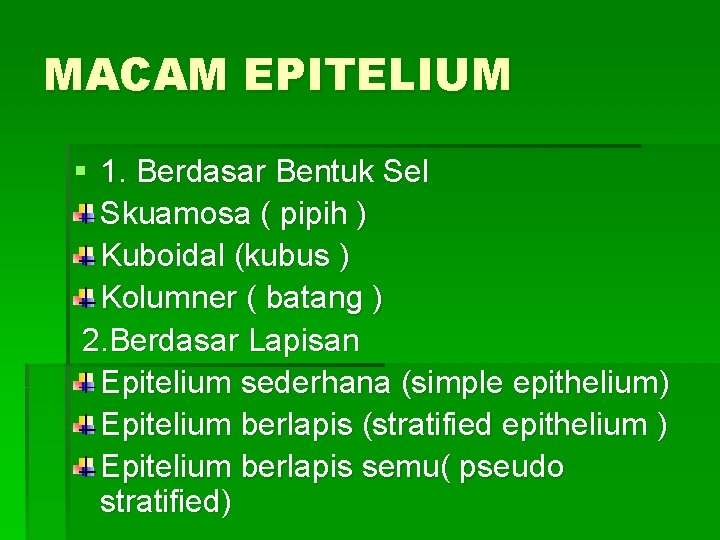 MACAM EPITELIUM § 1. Berdasar Bentuk Sel Skuamosa ( pipih ) Kuboidal (kubus )