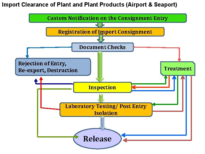 Import Clearance of Plant and Plant Products (Airport & Seaport) Custom Notification on the