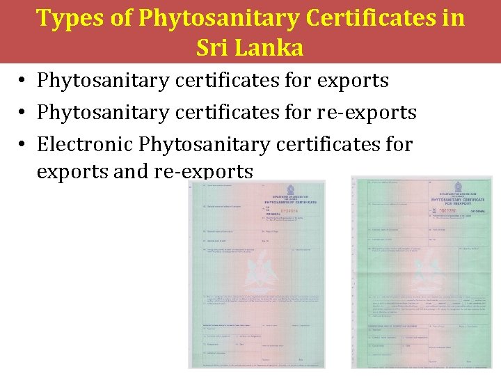 Types of Phytosanitary Certificates in Sri Lanka • Phytosanitary certificates for exports • Phytosanitary