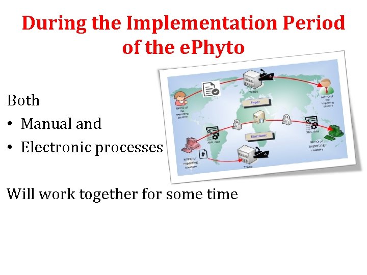 During the Implementation Period of the e. Phyto Both • Manual and • Electronic