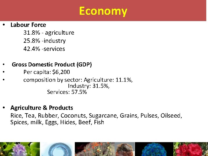 Economy • Labour Force 31. 8% - agriculture 25. 8% -industry 42. 4% -services